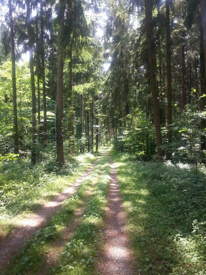 Herberge